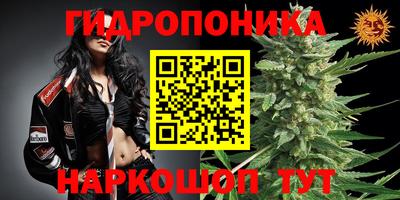 дмт Мариинск