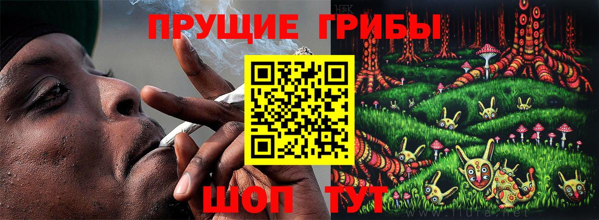 Псилоцибиновые грибы Psilocybine cubensis  Вход с VPN  Донской 