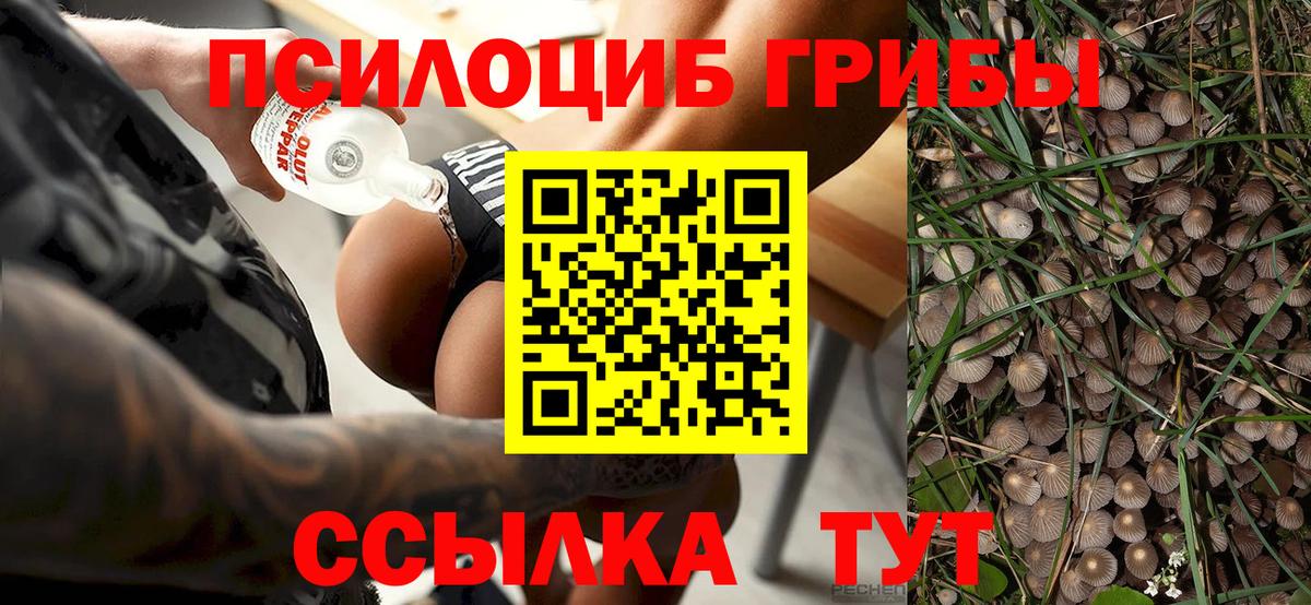 Галлюциногенные грибы MAGIC MUSHROOMS Донской